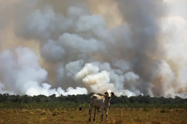 Brasil aumenta emissões de CO2 por causa de desmatamento