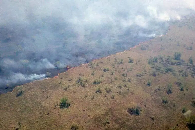 Incêndio na Ilha do Bananal em 2020 