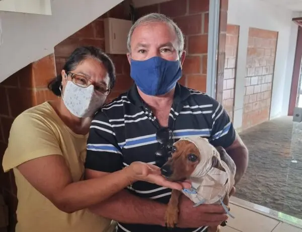Cão foi enterrado vivo no interior de São Paulo