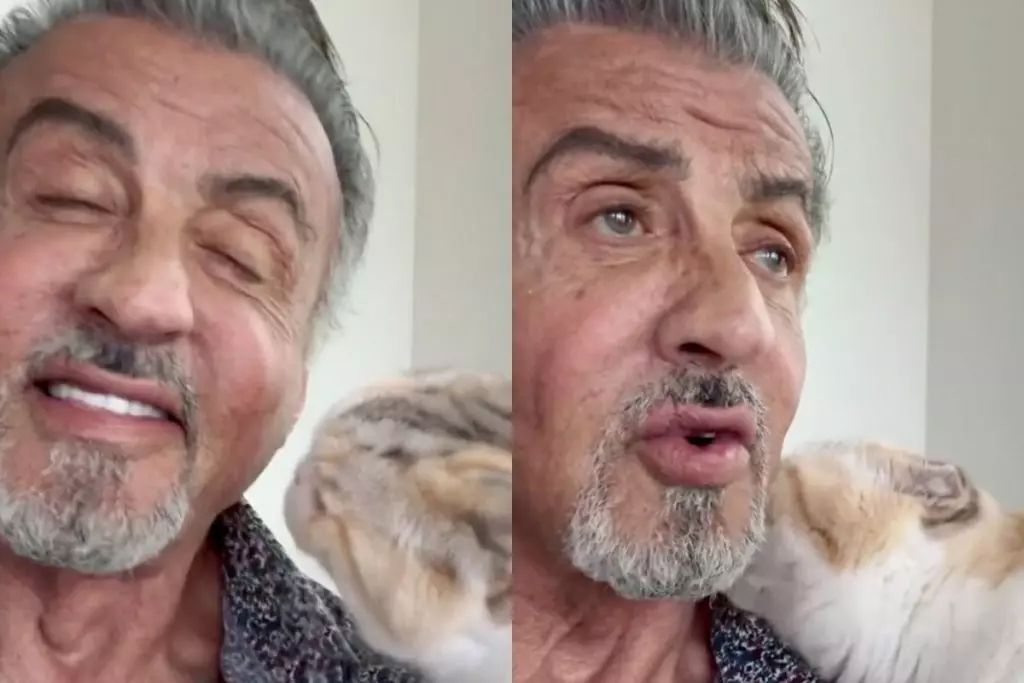 asomadetodosafetos.com - Sylvester Stallone conquista a internet com vídeo junto de sua gatinha. Assista!